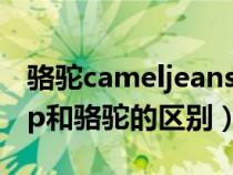 骆驼cameljeans和骆驼有什么区别（cantorp和骆驼的区别）