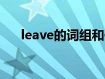 leave的词组和例句（leave搭配词组）