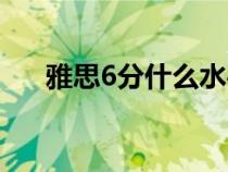 雅思6分什么水平（雅思5分什么水平）