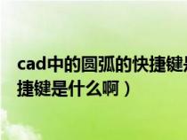 cad中的圆弧的快捷键是什么啊怎么用（CAD中的圆弧的快捷键是什么啊）