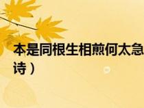 本是同根生相煎何太急全诗意思（本是同根生相煎何太急全诗）