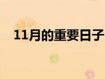 11月的重要日子（11月有什么重要日子）