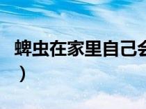 蜱虫在家里自己会死吗（蜱虫在家里能存活吗）