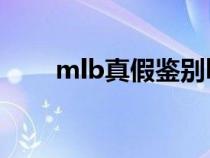 mlb真假鉴别logo（mlb真假辨别）