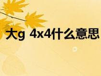 大g 4x4什么意思（大G车4乘4是什么意思）