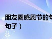 朋友圈感恩节的句子经典语录（朋友圈感恩节句子）