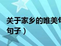 关于家乡的唯美句子100字（关于家乡的唯美句子）