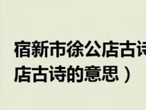 宿新市徐公店古诗意思翻译简单（宿新市徐公店古诗的意思）