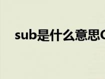 sub是什么意思C语言（sub是什么意思）