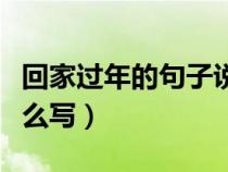 回家过年的句子说说（回家过年的心情句子怎么写）