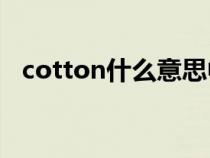 cotton什么意思中文（Cotton什么意思）