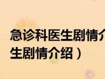 急诊科医生剧情介绍分集剧情简介（急诊科医生剧情介绍）