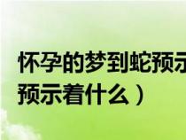 怀孕的梦到蛇预示着什么意思（怀孕的梦到蛇预示着什么）