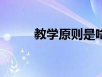 教学原则是啥（教学原则是什么）