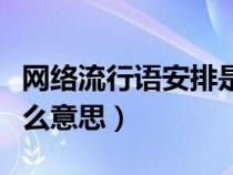 网络流行语安排是啥意思（网络用语安排是什么意思）