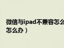 微信与ipad不兼容怎么办?最简单办法（微信与ipad不兼容怎么办）