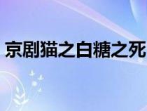 京剧猫之白糖之死（京剧猫之白糖神秘身世）