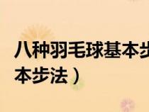 八种羽毛球基本步法教学视频（八种羽毛球基本步法）