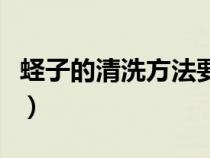 蛏子的清洗方法要去内脏吗（蛏子的清洗方法）