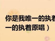 你是我唯一的执着表达了什么意思（你是我唯一的执着原唱）