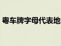 粤车牌字母代表地区（粤车牌字母代表城市）