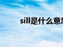 sill是什么意思（silly是什么意思）