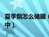 夏季烟怎么储藏（夏季香烟的最佳保存方法家中）