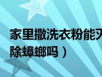 家里撒洗衣粉能灭蟑螂吗（屋里全撒洗衣粉能除蟑螂吗）