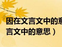 因在文言文中的意思和例句初中课本（因在文言文中的意思）