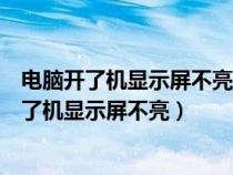 电脑开了机显示屏不亮但是有响声是什么原因视频（电脑开了机显示屏不亮）