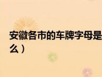 安徽各市的车牌字母是什么样的（安徽各市的车牌字母是什么）