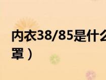 内衣38/85是什么尺寸（内衣38/85是什么杯罩）