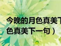 今晚的月色真美下一句应该是什么（今晚的月色真美下一句）