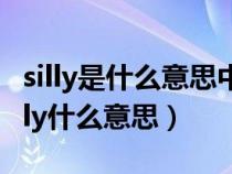 silly是什么意思中文翻译是什么意思啊了（silly什么意思）