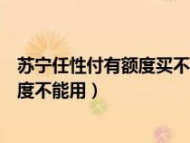 苏宁任性付有额度买不了东西（为什么苏宁易购任性付有额度不能用）