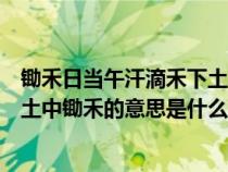 锄禾日当午汗滴禾下土下两句是什么（锄禾日当午汗滴禾下土中锄禾的意思是什么）