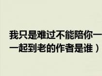 我只是难过不能陪你一起到老什么歌（我只是难过不能陪你一起到老的作者是谁）