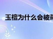 玉檀为什么会被蒸黄（玉檀为什么会被蒸）