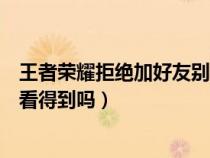 王者荣耀拒绝加好友别人知道吗（王者荣耀拒绝加好友对面看得到吗）