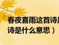 春夜喜雨这首诗是什么意思?（春夜喜雨这首诗是什么意思）