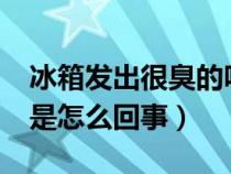 冰箱发出很臭的味道怎么回事?（冰箱发臭味是怎么回事）