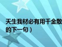 天生我材必有用千金散尽还复来的还读音（天生我材必有用的下一句）