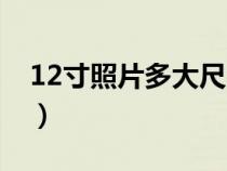 12寸照片多大尺寸大小（12寸照片多大尺寸）