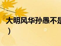 大明风华孙愚不是旧臣吗（大明风华孙愚扮演）