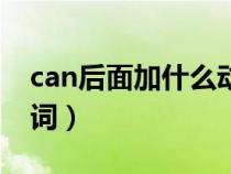 can后面加什么动词（can后面加什么词性的词）