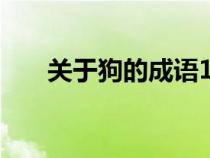 关于狗的成语100个（关于狗的成语）