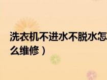 洗衣机不进水不脱水怎么维修视频（洗衣机不进水不脱水怎么维修）