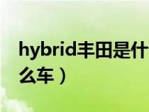 hybrid丰田是什么车商务（hybrid丰田是什么车）