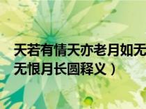 天若有情天亦老月如无恨月长圆意思（天若有情天亦老月如无恨月长圆释义）