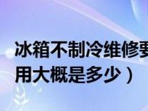 冰箱不制冷维修要多少钱（冰箱不制冷维修费用大概是多少）